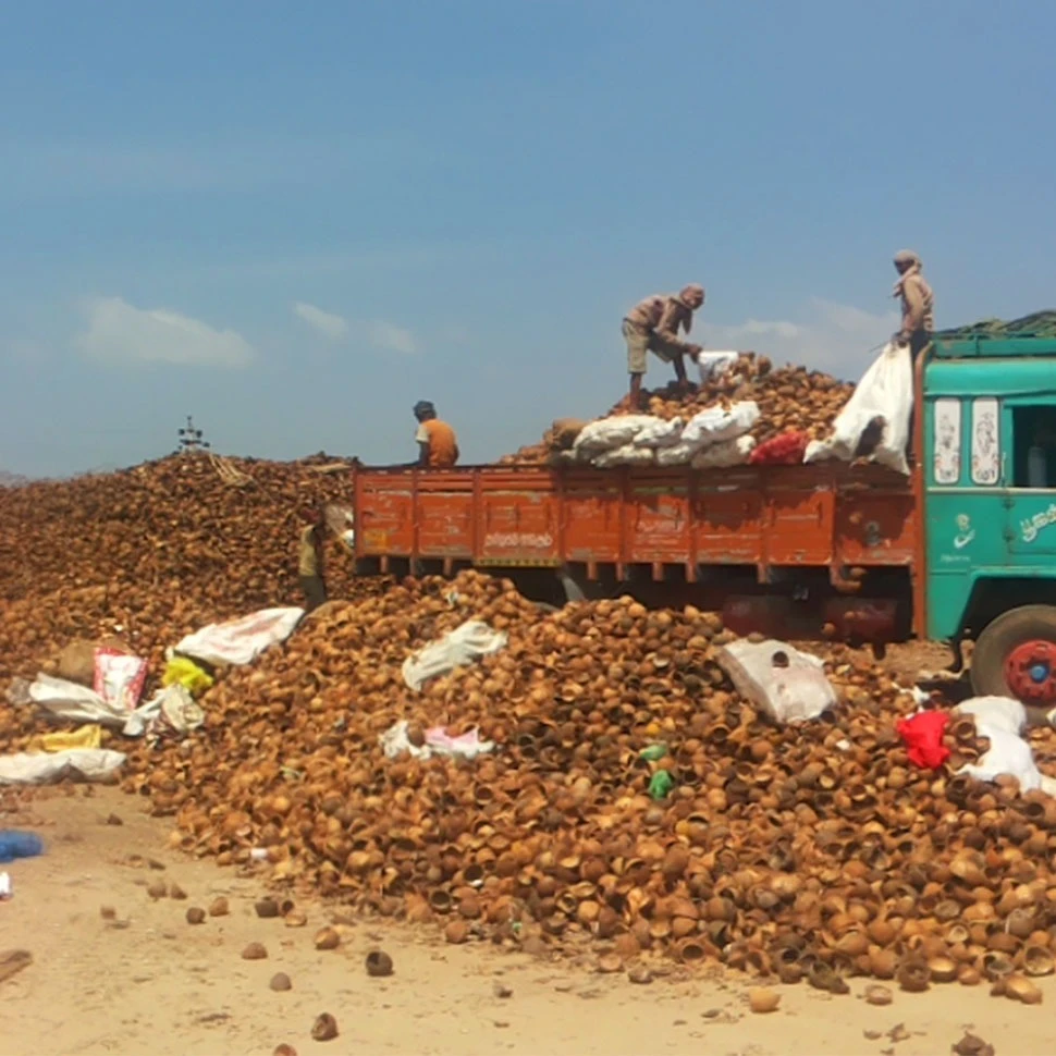 Integrated coconut shell charcoal manufacturing facility carbonising shells under controlled atmosphere